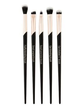 NIB 5-Piece Eye Brush Set